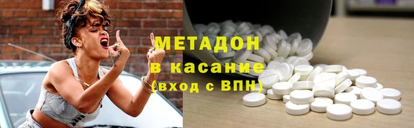 крисы Корсаков