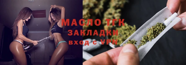 крисы Корсаков