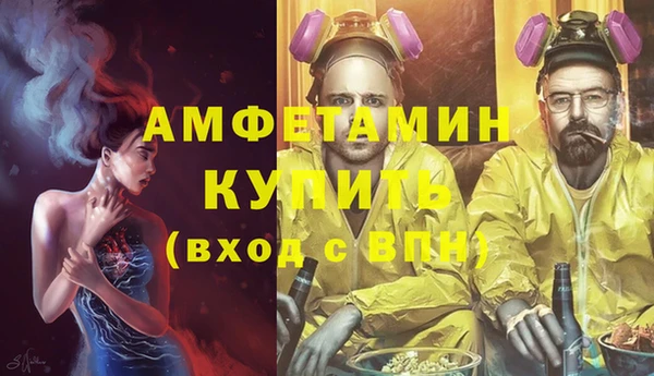 крисы Корсаков