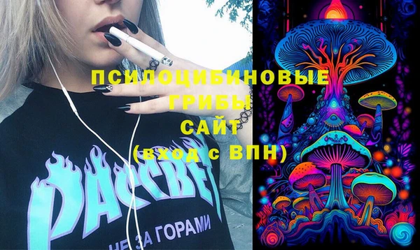 ПСИЛОЦИБИНОВЫЕ ГРИБЫ Ессентукская