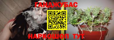 Альфа ПВП Ипатово