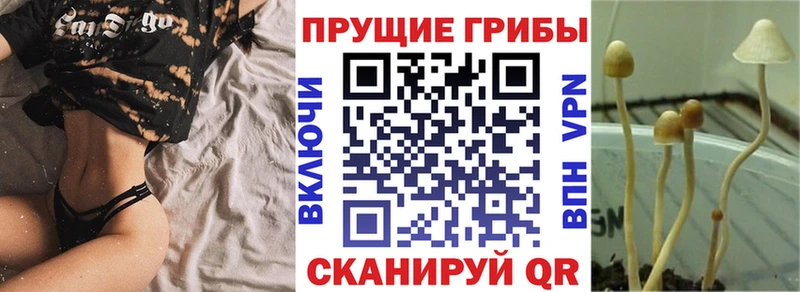 Псилоцибиновые грибы MAGIC MUSHROOMS  Красноярск 