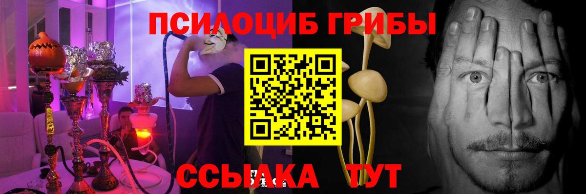 Галлюциногенные грибы мухоморы Красноярск